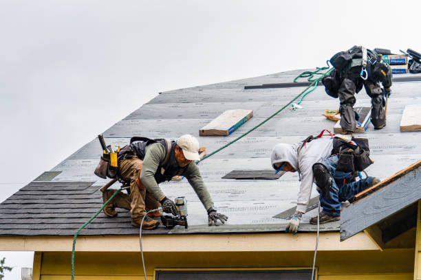 Professional Storm Damage Roof Repair technician working in Iowa City, IA